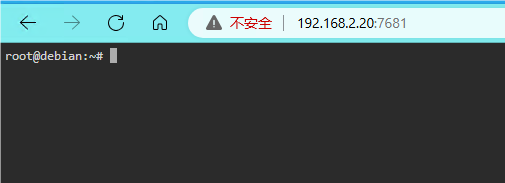 8-ttyd示例查看.png